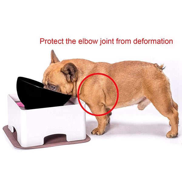 Pet cat dog table dog table