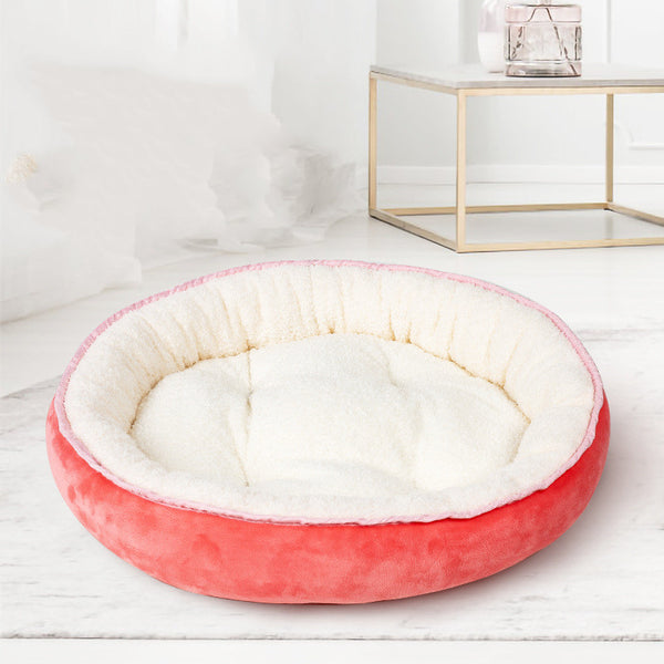 Dogs and Cats Mattress